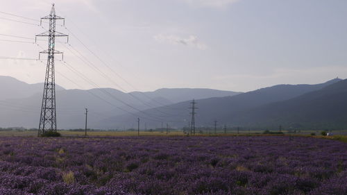 Electricity pylons on field against sky