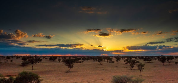 Panoramic view of beach against sky during sunset