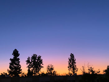 Silhouette trees against clear sky during sunset