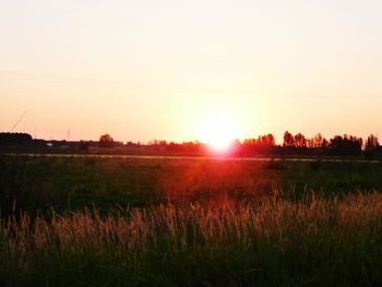 Scenic view of field against clear sky during sunset