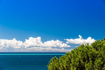 Scenic view of sea against blue sky