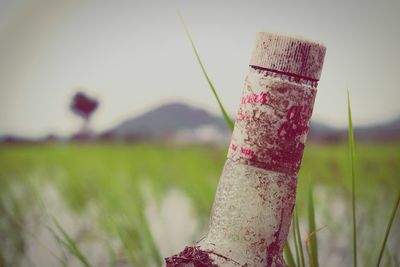 Close-up of water on grass against sky