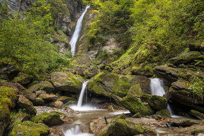 Scenic view of waterfall in forest