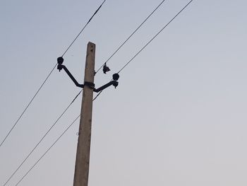 Low angle view of bird perching on cable against sky