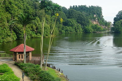 Scenic view of lake in forest