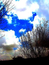 Low angle view of silhouette trees against sky