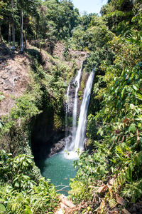 Scenic view of waterfall in forest