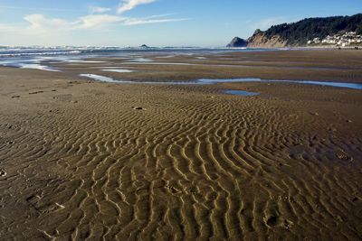 Scenic view of sandy beach