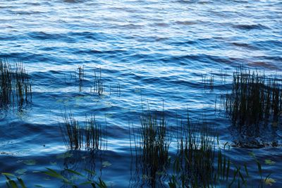 Full frame shot of lake