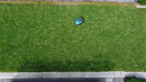 High angle view of green ball on grass