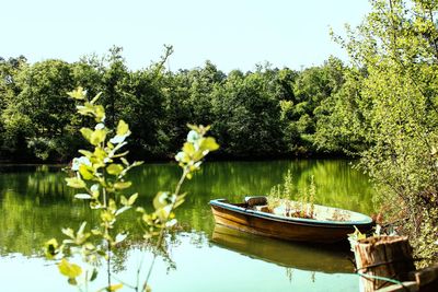 Boat floating on lake against trees