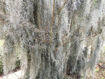 Full frame shot of abstract background