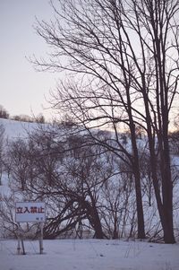 Bare trees on landscape