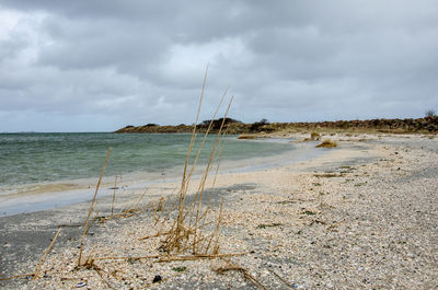 Scenic view of beach against sky