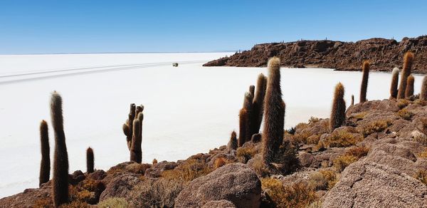 Endless white expanse - salar de uyuni