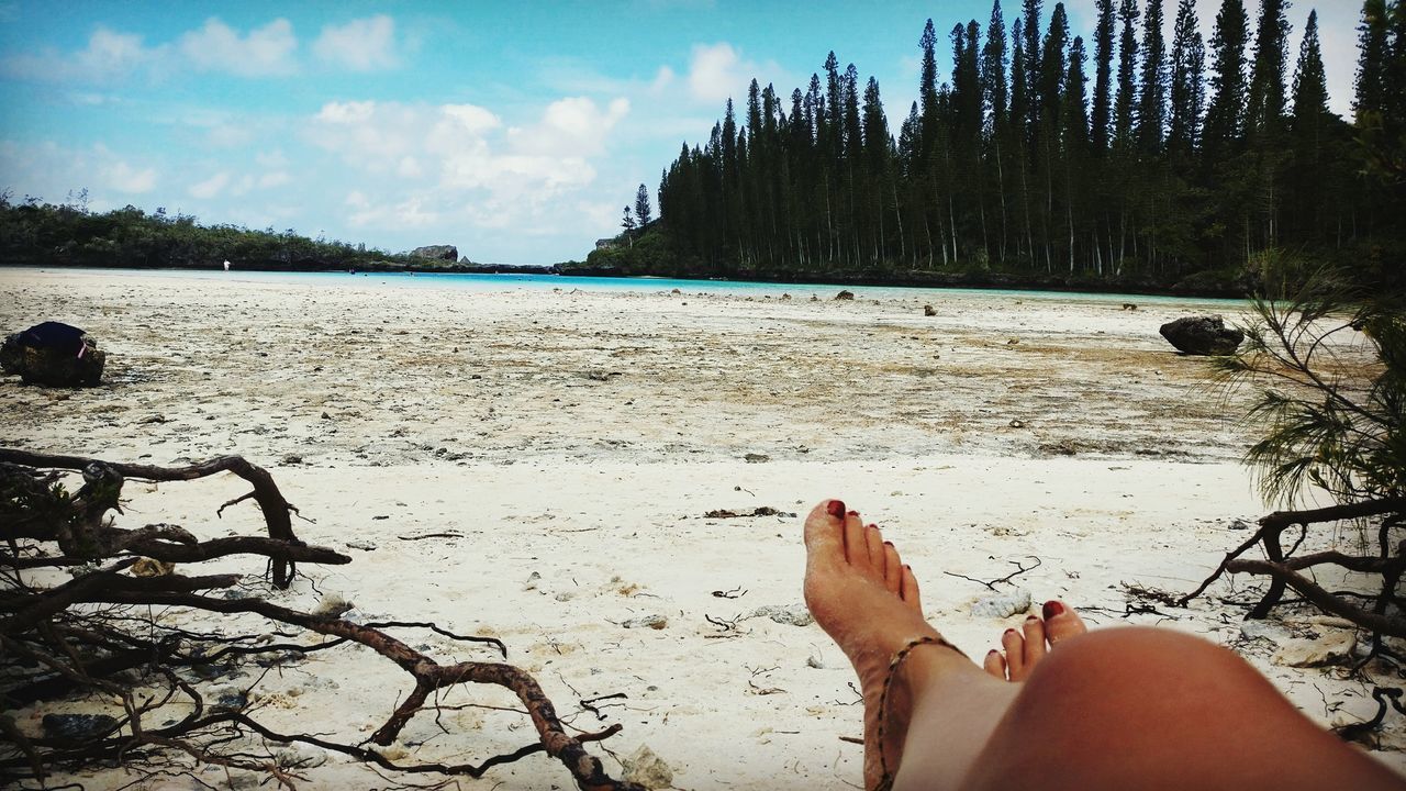 beach, human leg, real people, sand, low section, water, barefoot, human foot, one person, personal perspective, shore, sea, human body part, sky, nature, tree, outdoors, cloud - sky, day, beauty in nature, tranquility, vacations, lifestyles, scenics, women, close-up, human hand, people