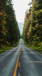 Empty road amidst trees against sky