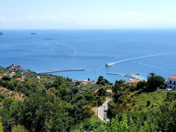 High angle view of plants and sea against sky