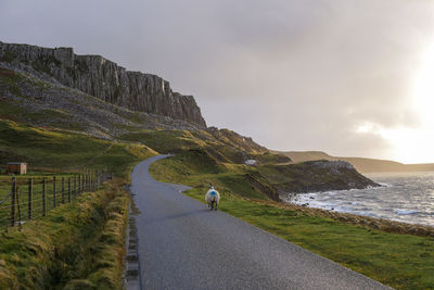 Road by sea against sky