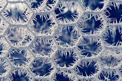 Full frame shot of snowflakes