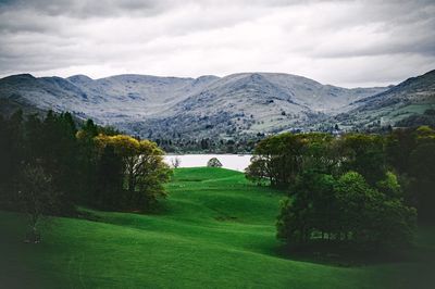 Scenic view of landscape against sky