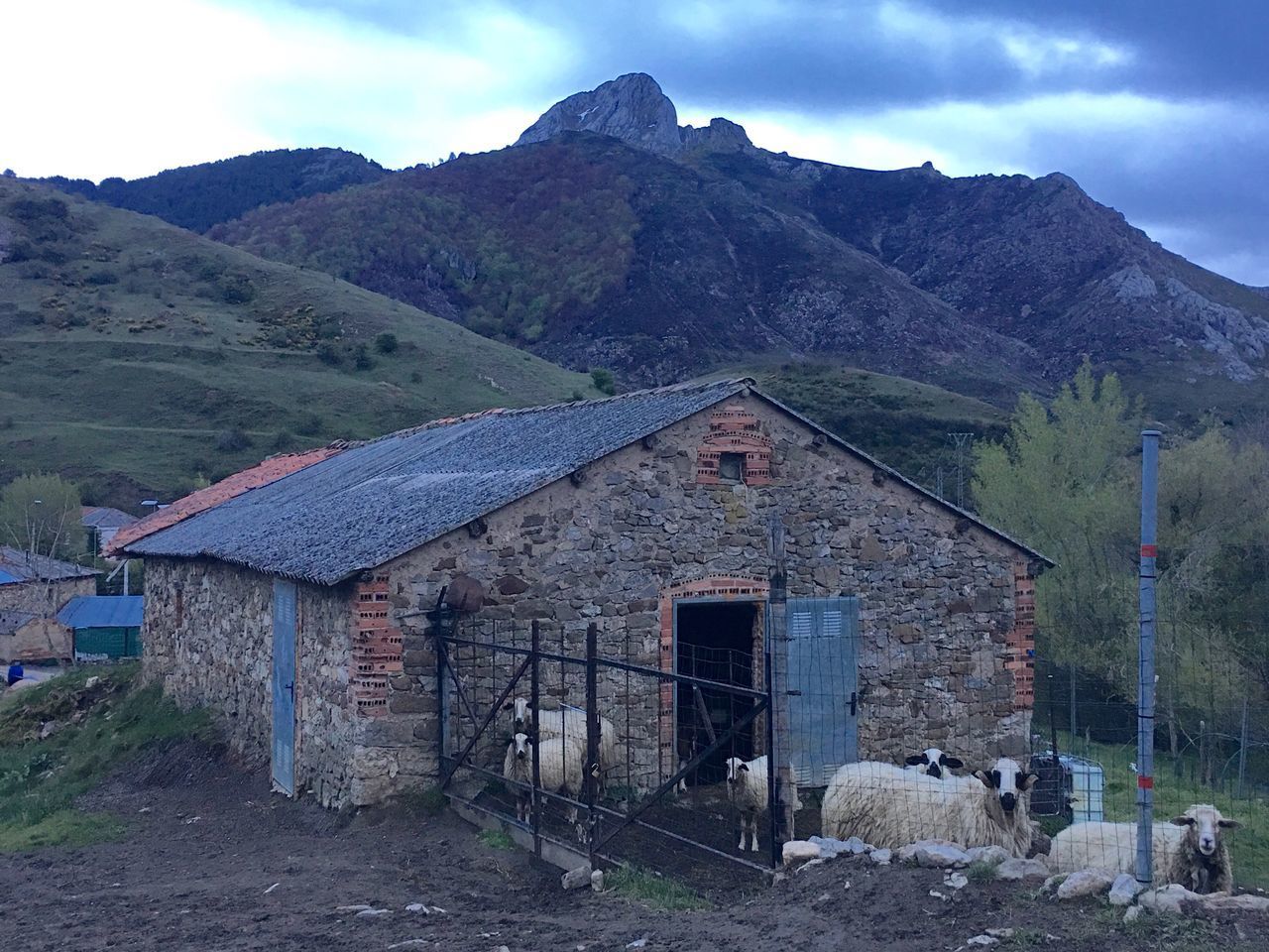 HOUSES AGAINST MOUNTAINS