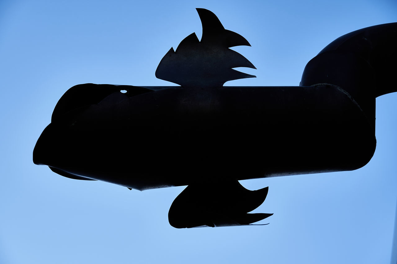 LOW ANGLE VIEW OF A BIRD AGAINST CLEAR SKY
