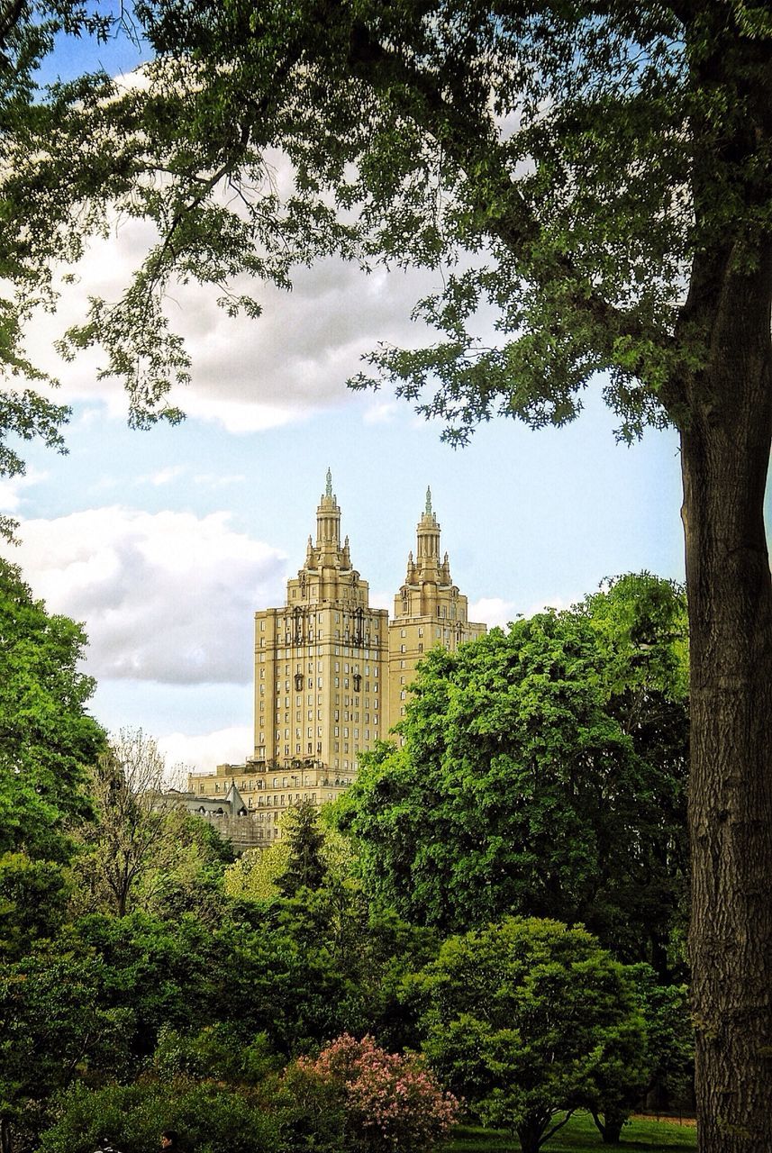 tree, architecture, built structure, building exterior, sky, history, growth, low angle view, green color, day, the past, nature, plant, travel destinations, old, grass, no people, outdoors, religion, famous place