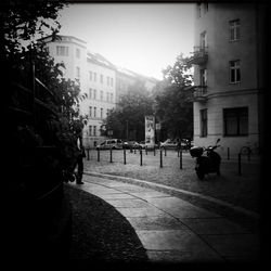 Road along buildings in city