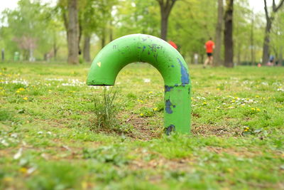 Close-up of grass on grassy field