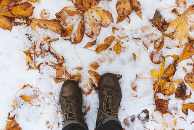 Low section of person standing on leaves during winter