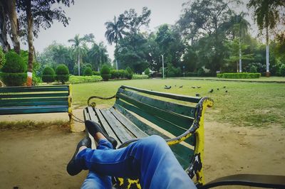 Man relaxing on bench in park
