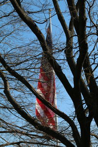Low angle view of bare tree against sky