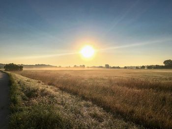 Scenic view of field against clear sky