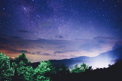 Low angle view of silhouette trees against sky at night