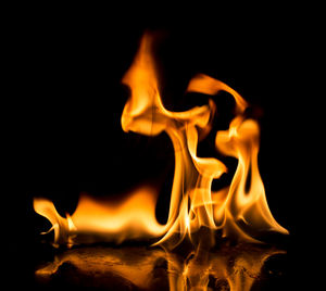 Close-up of fire burning at night