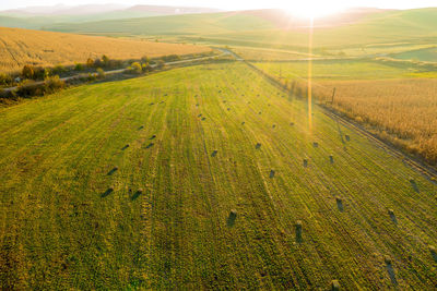 Aerial drone photo of hay rolls, bales in the wheat field in late afternoon lights