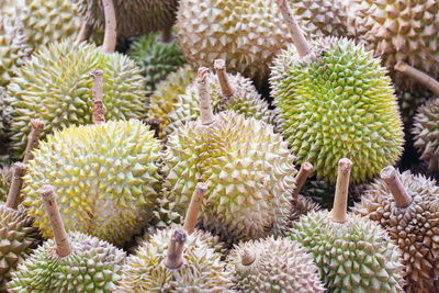 Full frame shot of fruit for sale at market stall