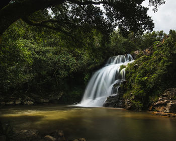 Scenic view of waterfall in forest