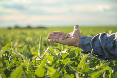 agriculture