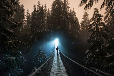 Hiker standing on footbridge amidst forest at lynn canyon park