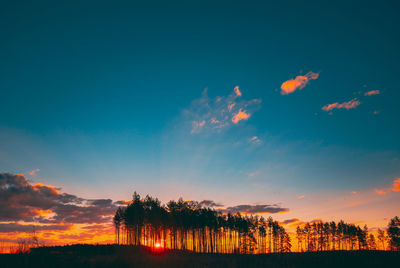 Silhouette trees against sky during sunset