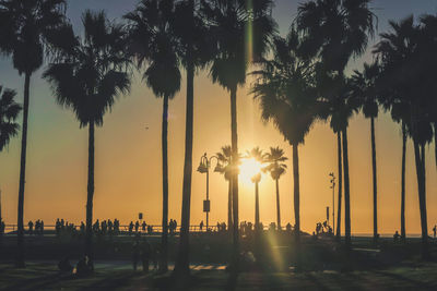 Silhouette palm trees against sky during sunset