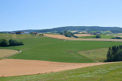 Scenic view of field against clear sky