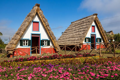 Red flowering plants on field by building against sky