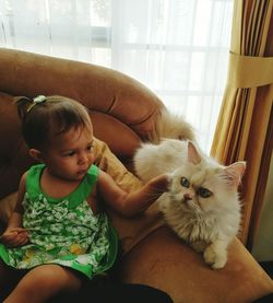 Baby girl touching persian cat while sitting on sofa at home