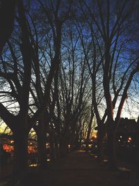 Silhouette trees against sky at night