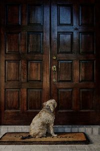 Close-up of wooden door