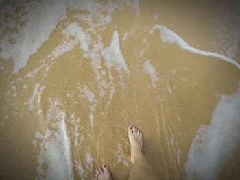 Low section of woman on beach