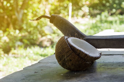 Close-up of old tea cup